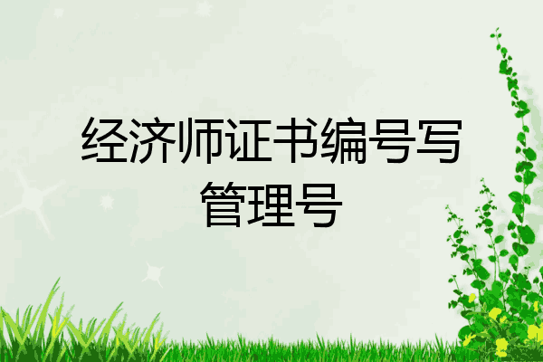 经济师证书编号写管理号