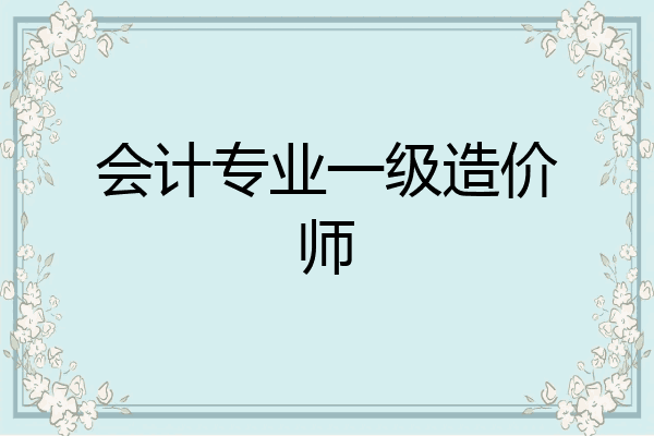 会计专业一级造价师