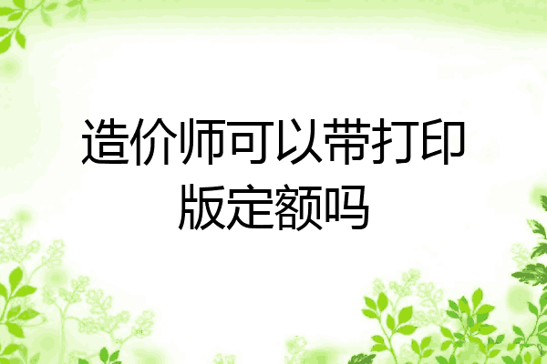 造价师可以带打印版定额吗