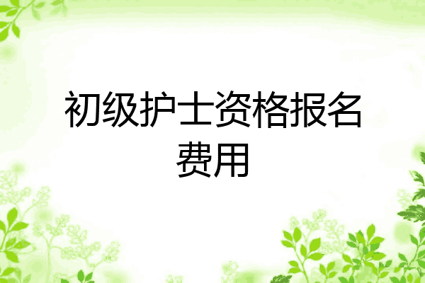 初级护士资格报名费用