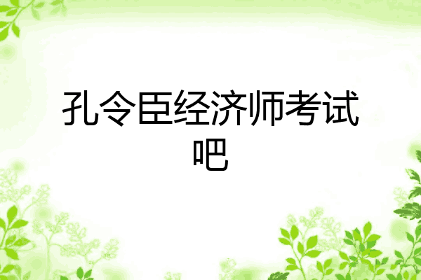 孔令臣经济师考试吧