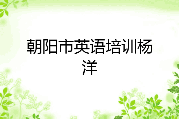 朝阳市英语培训杨洋