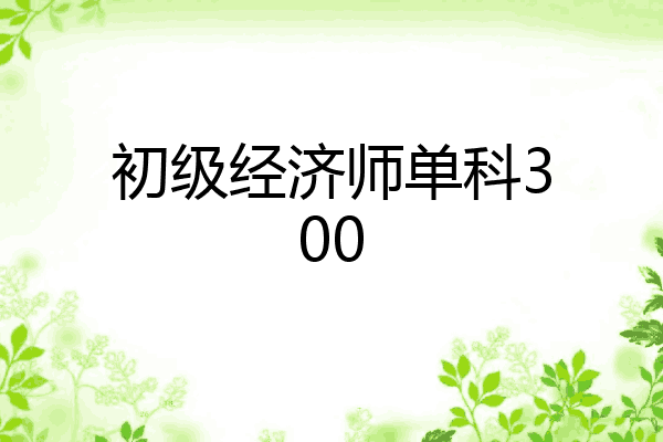 初级经济师单科300