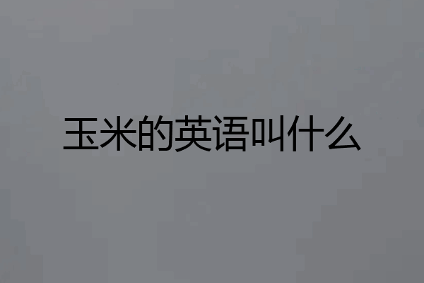 玉米的英语叫什么