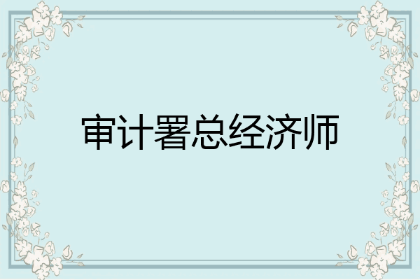 审计署总经济师