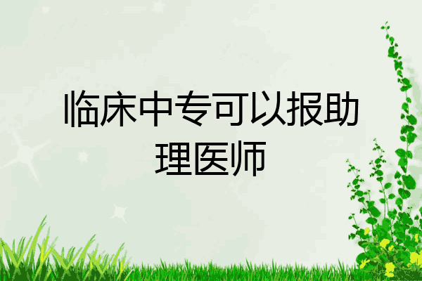 临床中专可以报助理医师