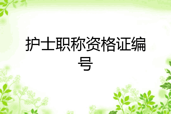护士职称资格证编号
