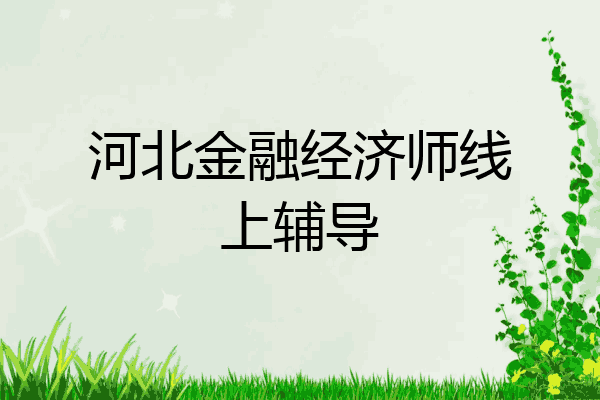 河北金融经济师线上辅导