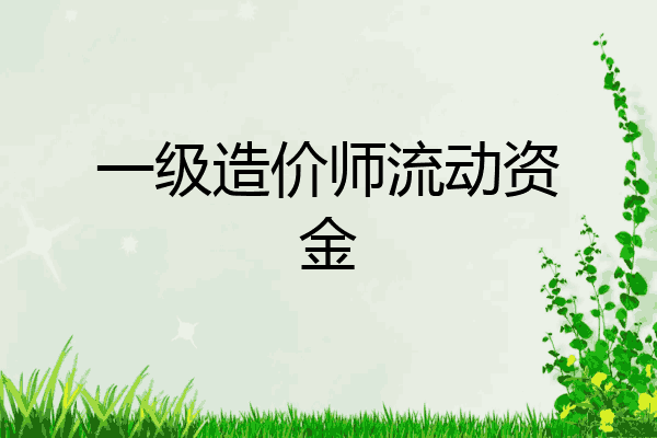 一级造价师流动资金