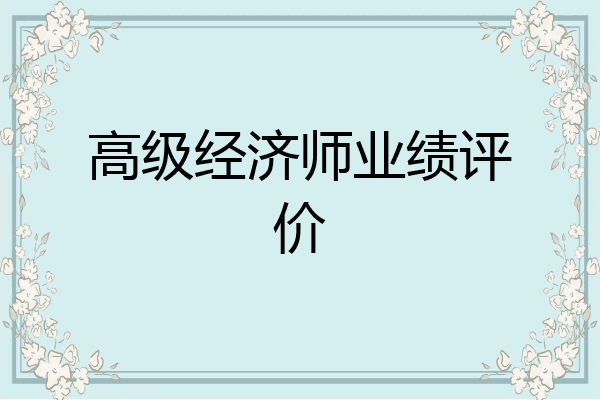 高级经济师业绩评价
