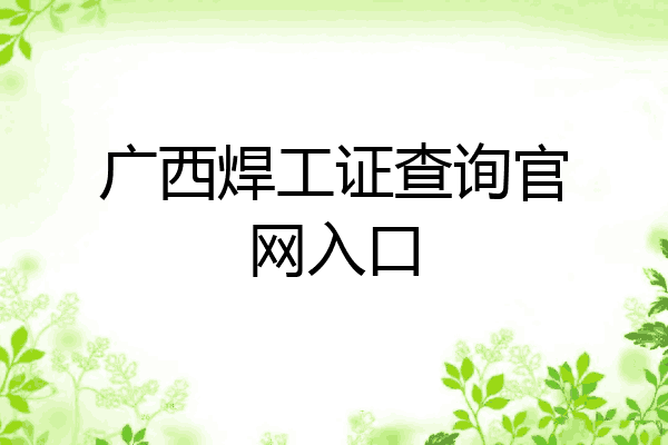 广西焊工证查询官网入口