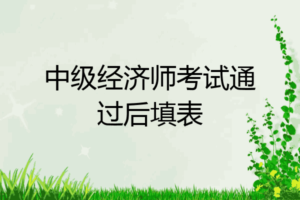中级经济师考试通过后填表