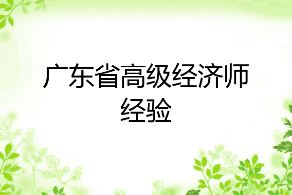 广东省高级经济师经验