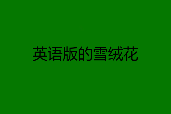 英语版的雪绒花