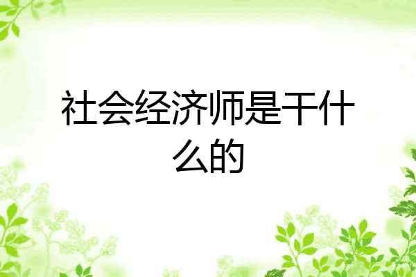 社会经济师是干什么的