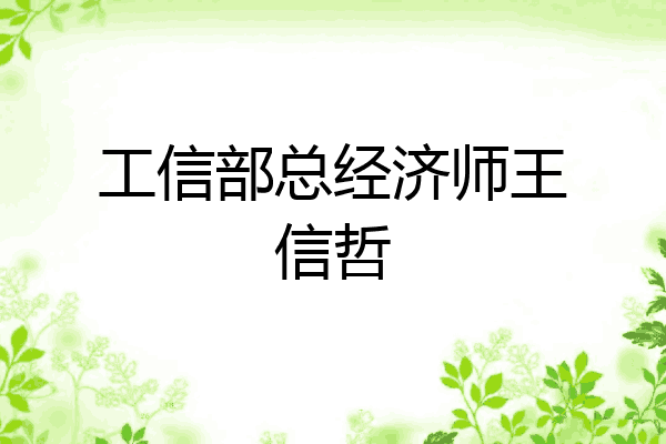 工信部总经济师王信哲