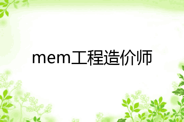 mem工程造价师