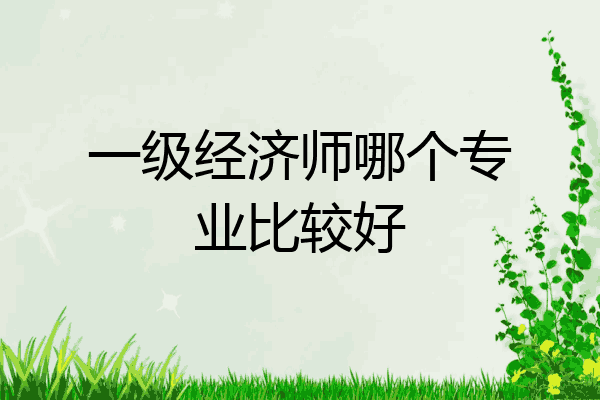 一级经济师哪个专业比较好