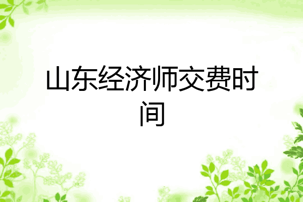 山东经济师交费时间