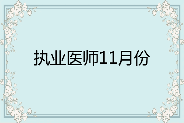 执业医师11月份