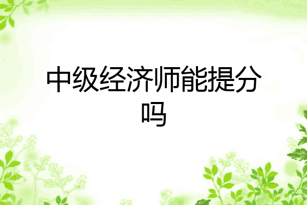 中级经济师能提分吗