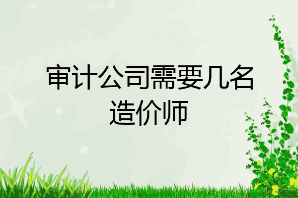 审计公司需要几名造价师