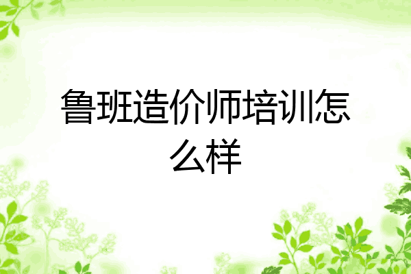 鲁班造价师培训怎么样