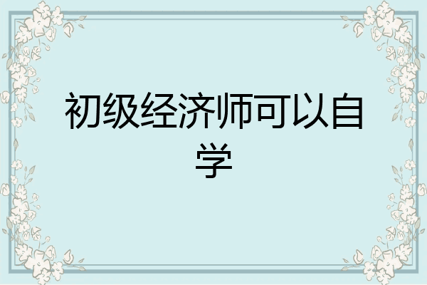 初级经济师可以自学