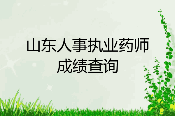 山东人事执业药师成绩查询