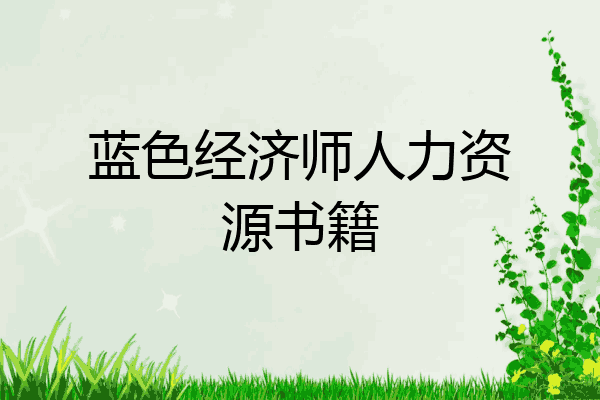 蓝色经济师人力资源书籍