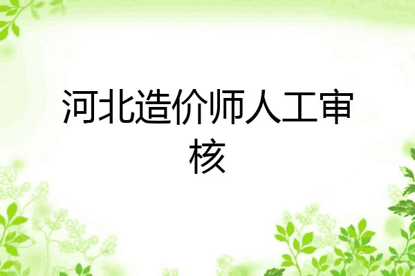 河北造价师人工审核