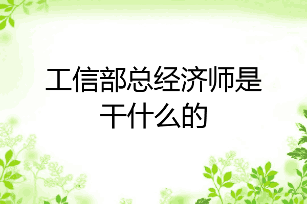 工信部总经济师是干什么的
