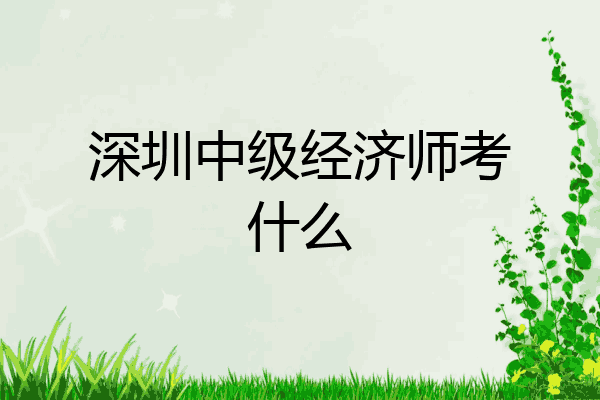 深圳中级经济师考什么
