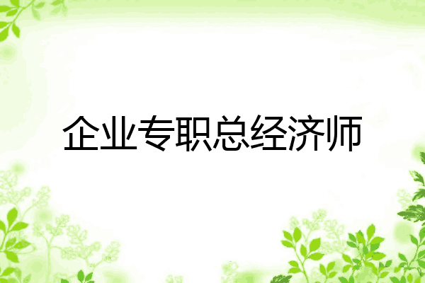企业专职总经济师