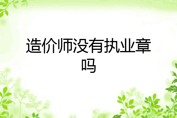造价师没有执业章吗