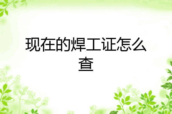 现在的焊工证怎么查