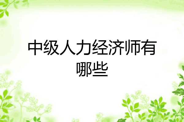 中级人力经济师有哪些