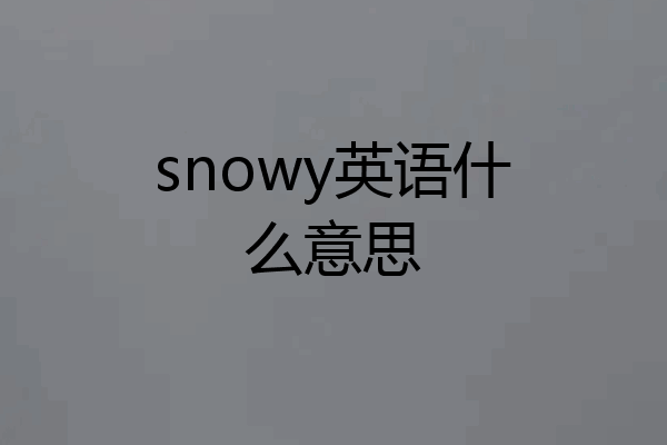 snowy英语什么意思