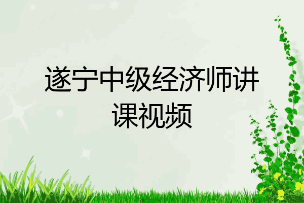 遂宁中级经济师讲课视频