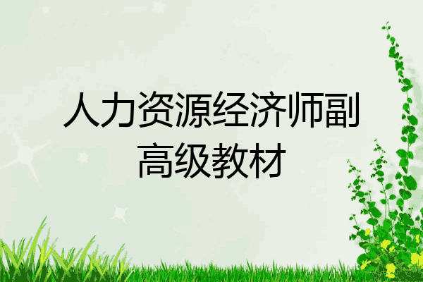 人力资源经济师副高级教材