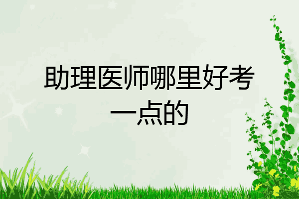 助理医师哪里好考一点的