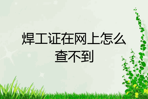 焊工证在网上怎么查不到