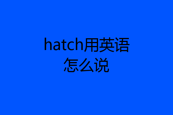 hatch用英语怎么说