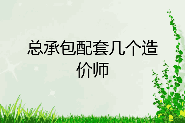 总承包配套几个造价师