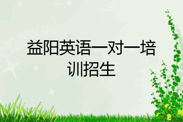 益阳英语一对一培训招生