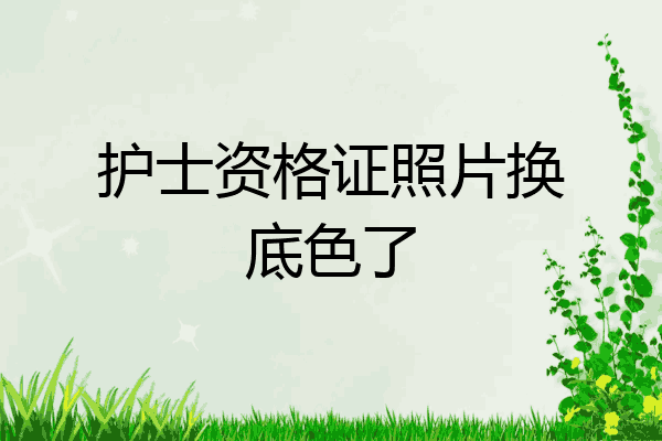 护士资格证照片换底色了