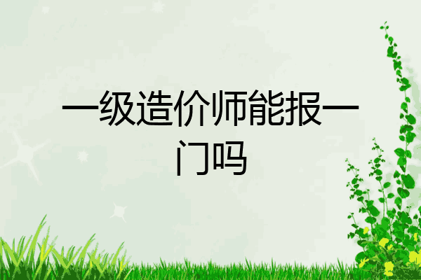 一级造价师能报一门吗