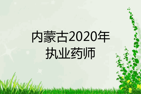 内蒙古2020年执业药师