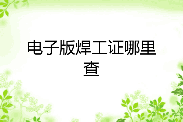 电子版焊工证哪里查