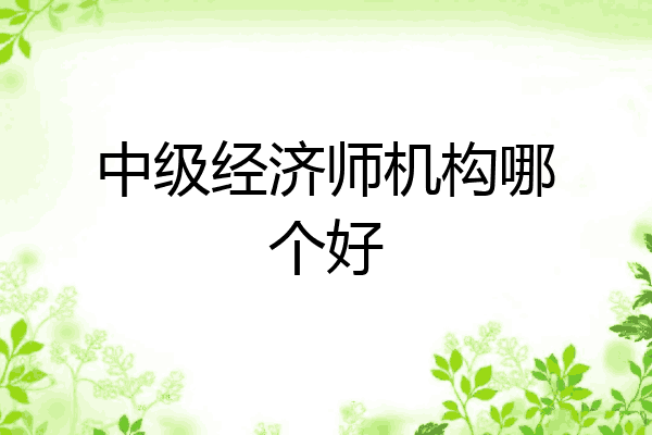 中级经济师机构哪个好
